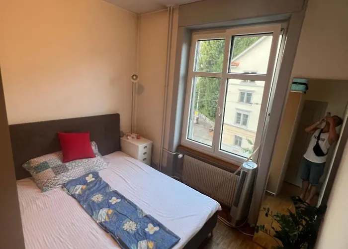 Rustic Lakeside Gem With Rooftop Looking To Homestay Zurich