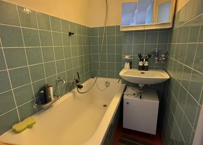 Rustic Lakeside Gem With Rooftop Looking To * Zürih